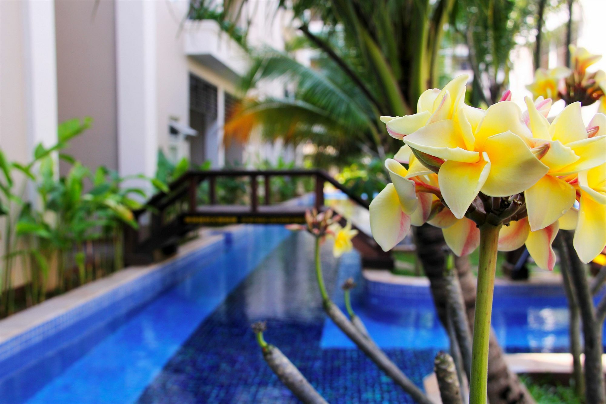 Bali Hotel Phnom Penh Zewnętrze zdjęcie